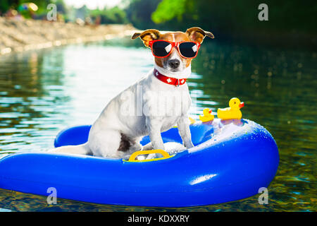 dog on  blue air mattress  in refreshing  water Stock Photo
