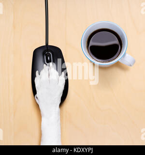 dog paw clicking on a pc computer mouse, searching , and looking online in internet finding information , isolated on wood desk Stock Photo