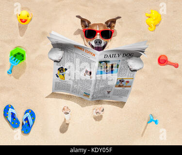 jack russell dog  buried in the sand at the beach on summer vacation holidays ,  wearing red sunglasses, reading a newspaper or magazine Stock Photo