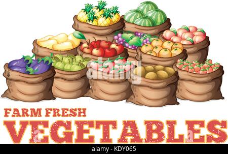 Different types of fresh vegetables illustration Stock Vector
