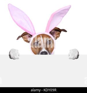 easter dog with  bunny ears holding a placard from behind Stock Photo