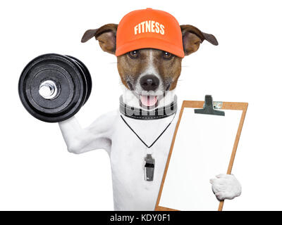 personal  trainer dog with dumbbells and a clipboard Stock Photo