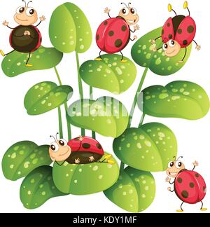 Ladybugs on green leaves illustration Stock Vector