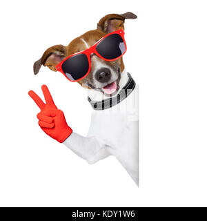 cool pug dog with victory or peace fingers wearing gloves Stock