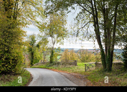 Country lane in autumn near Guiting Power, Cotswolds, Gloucestershire, England Stock Photo
