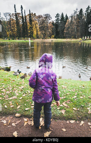 Little girl feeds ducks on pond in autumn park Stock Photo