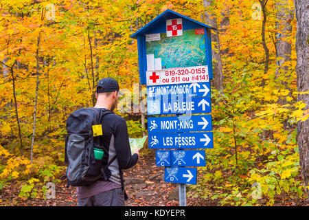 Young man looking at a map on a hiking trail in a canadian forest during autumn colours (Val David Regional Park, Laurentides, Canada) Stock Photo
