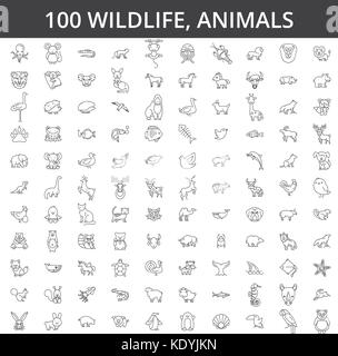 Wildlife african, sea, domestic, forest, zoo animals, cat, dog, wolf, fox, tiger, fish, bear, horse, dino, rhino, monkey line icons, signs. Illustration vector concept. Editable strokes Stock Vector