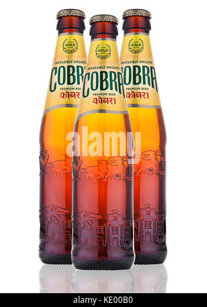 LONDON, UK - OCTOBER 06, 2016: Cobra Premium beer on a white background, Cobra 5.0% Premium Beer is brewed to an authentic Indian recipe using the fin Stock Photo