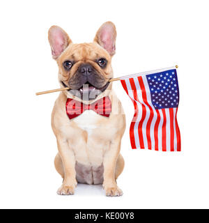 french bulldog holding a flag of usa on independence day on 4th of