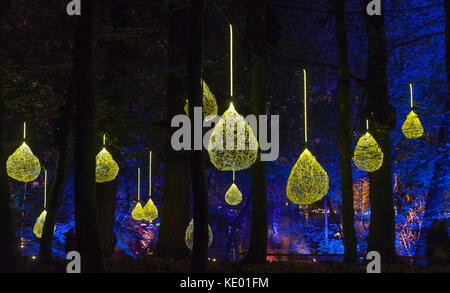 An illuminated installation 'liquid sunshine' at night in The Enchanted Forest in Faskally Woods near Pitlochry, Perthshire, Scotland, UK Stock Photo