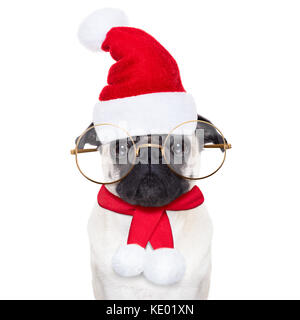 smart pug dog as santa claus with big glasses, for christmas holidays, looking dumb, isolated on white background Stock Photo