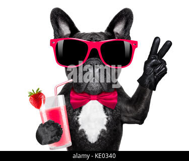 french bulldog dog  with cocktail milkshake smoothie and funny glasses with peace victory fingers , isolated on white background Stock Photo