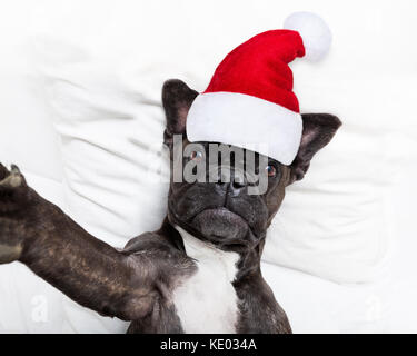 french bulldog santa claus dog taking a selfie in bed at christmas holidays  wearing a red hat Stock Photo