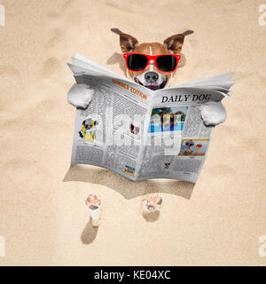 jack russell dog  buried in the sand at the beach on summer vacation holidays ,  wearing red sunglasses, reading a newspaper or magazine Stock Photo