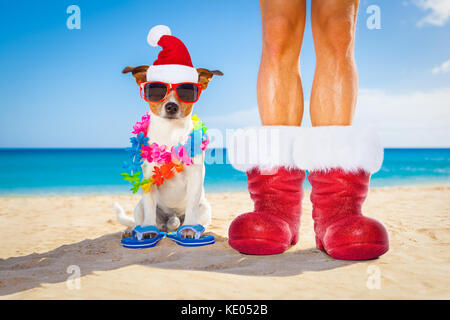 dog and owner sitting close together at the beach on summer christmas vacation holidays, wearing a santa claus hat and red boots Stock Photo