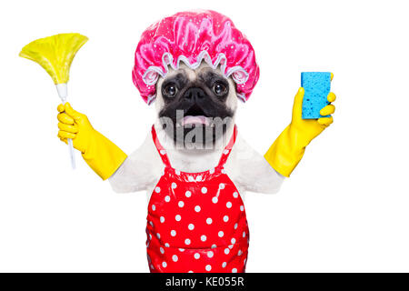 pug dog doing household chores with rubber gloves and shower cap, isolated on white background Stock Photo