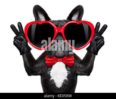 french bulldog dog happy and in love  , showing peace and victory fingers , isolated on white background Stock Photo