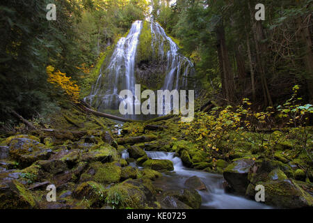 Proxy Falls near Blue River in Oregon Stock Photo