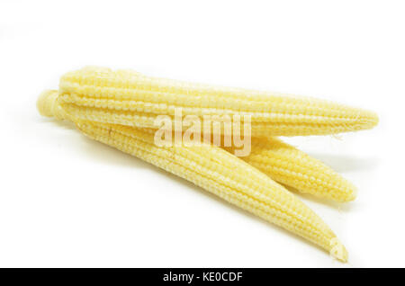 Baby corn cobs isolated on white background Stock Photo