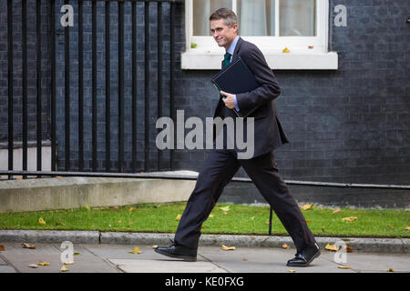 London, UK. 17th Oct, 2017. Gavin Williamson MP, Chief Whip, arrives at 10 Downing Street for the first Cabinet meeting since Prime Minister Theresa May's visit to Brussels to try to unlock talks regarding a Brexit transition period. Credit: Mark Kerrison/Alamy Live News Stock Photo