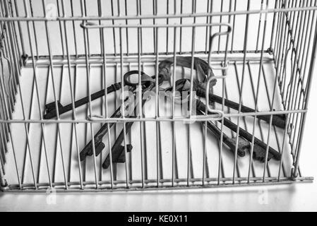 Keys locked inside a cage, a freedom of speech concept Stock Photo