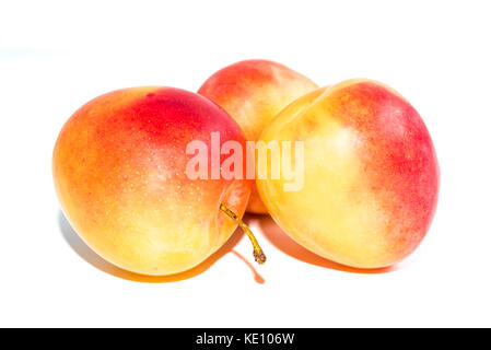 three orange ripe plums isolated on a pure white background Stock Photo