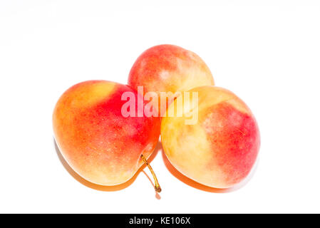 three orange ripe plums isolated on a pure white background Stock Photo