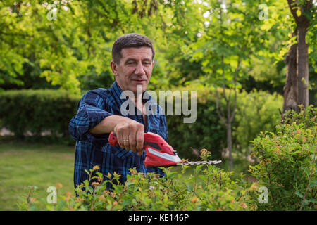 Retired but still healthy looking man is cutting and trimming the green hedge in the garden with the trimmer. Unfocused garden background. Logos remov Stock Photo