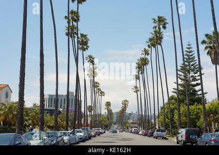 Palm trees lining the road in Santa Monica, Los Angeles, California. Stock Photo