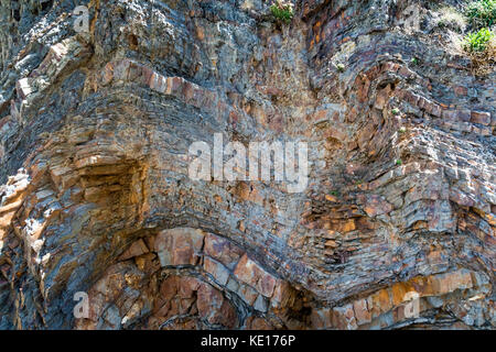 Detailed, Colourful detail of Folds in the Cliff Face at Babbacombe Cliffs on the North Devon Coast Near Bucks Mills. Bideford Bay, Devon, England, Stock Photo