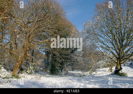 Southborough Common,Kent in snow Stock Photo