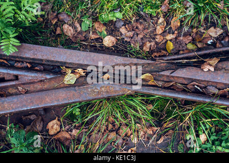 Fallen foliage against a background of metal sleepers. Rusty old rails in the city in nature. The concept of dissolutions by the letter x. Cross-roads in nature Stock Photo
