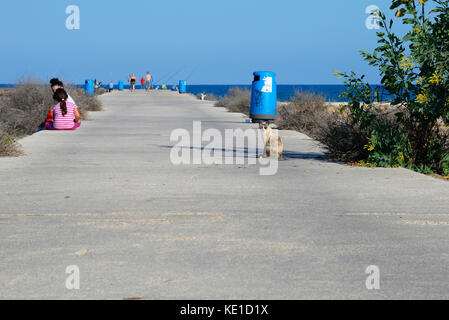 Walkway spit at mouth of the River Segura - gola del rio segura - in Guardamar del Segura on the Mediterranean Sea, Alicante, Spain Stock Photo