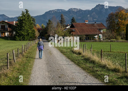 Hiker walking through the Bavarian meadows in the autumn afternoon background of changing fall colors with the blue sky and colorful l Stock Photo