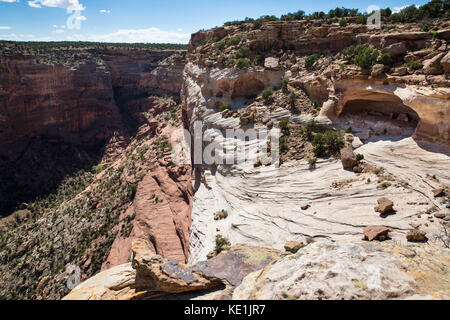 Massacre Cave in Canyon del Muerto, Canyon de Chelly, Arizona, USA Stock Photo