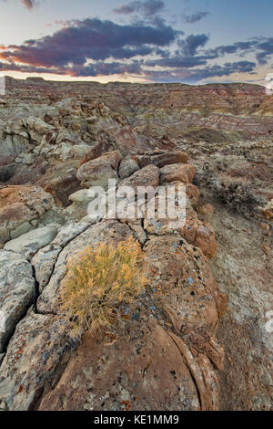 Bobcat Draw Wilderness in the Bighorn Basin of Wyoming at sunset Stock ...