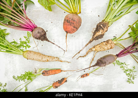 Selection of Fresh Root Vegetables on Bright Scratchy Background Stock Photo