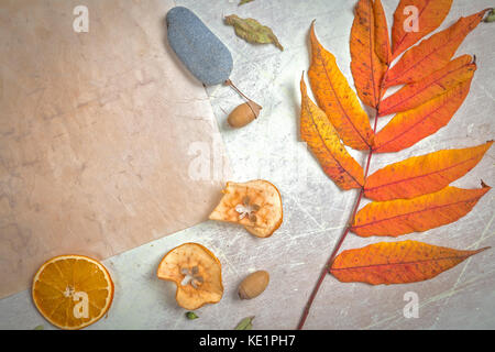 Autmnal Flat Lay Parchment, Dried Fruits and Foliage on Bright Scratchy Background Stock Photo