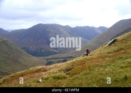 Lone Walker Descending the Corbett Meall Lighiche in Gleann-leac-na-muidhe with the Munros Sgorr nam Fiannaidh and Meall Dearg in Glencoe Just Ahead. Stock Photo