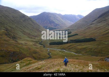 Lone Walker Descending the Corbett Meall Lighiche in Gleann-leac-na-muidhe with the Munros Sgorr nam Fiannaidh and Meall Dearg in Glencoe Just Ahead. Stock Photo