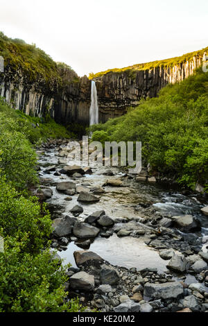 Svartifoss waterfall from above, with basalt columns, Iceland in summer, sunet Stock Photo