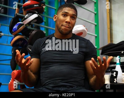 Anthony Joshua during a media session at the English Institute of Sport, Sheffield. Stock Photo