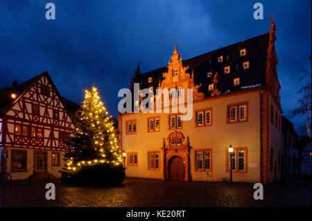 Gross-Umstadt in the Odenwald: Christmas tree on market square with historic town hall, Hesse, Germany Stock Photo