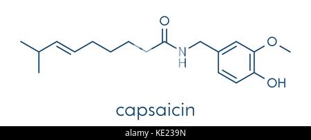 Capsaicin chili pepper molecule. Used in food, drugs, pepper spray, etc.  Skeletal formula. Stock Vector