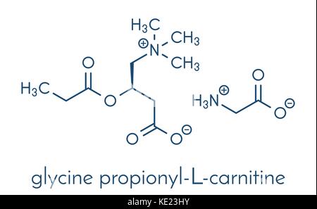 GPLC (glycine propionyl-L-carnitine) nutritional supplement molecule.  Skeletal formula Stock Vector Image & Art - Alamy