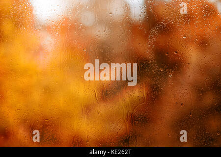 Water drops on wet glass against defocused autumn foliage. Large texture and background Stock Photo