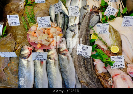 wet fish display on fishmongers counter, dorset, england Stock Photo