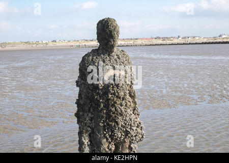 Anthony,Gormley,statues,iron,men,Another Place,art,installation,on,Crosby Beach,coast,coastal,area,Liverpool,England,U.K.,UK,Europe, Stock Photo