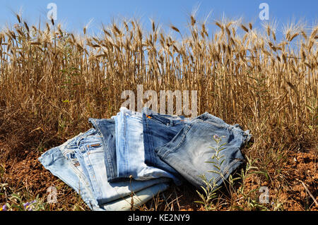 jeans and wheat background Stock Photo